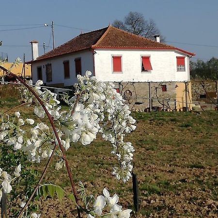 Готель Casa Da Vinha Grande Poiares Екстер'єр фото